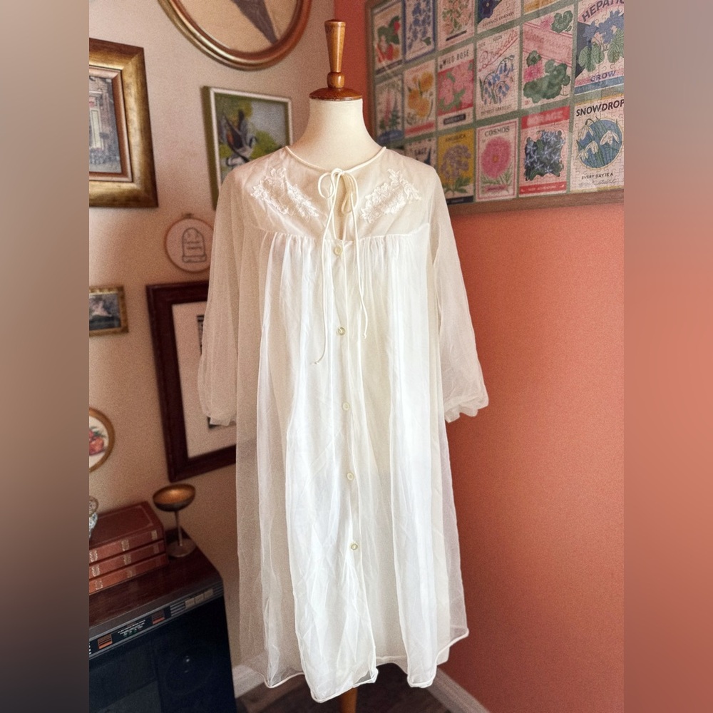 ✨ Vintage Sheer Dream Dress ✨